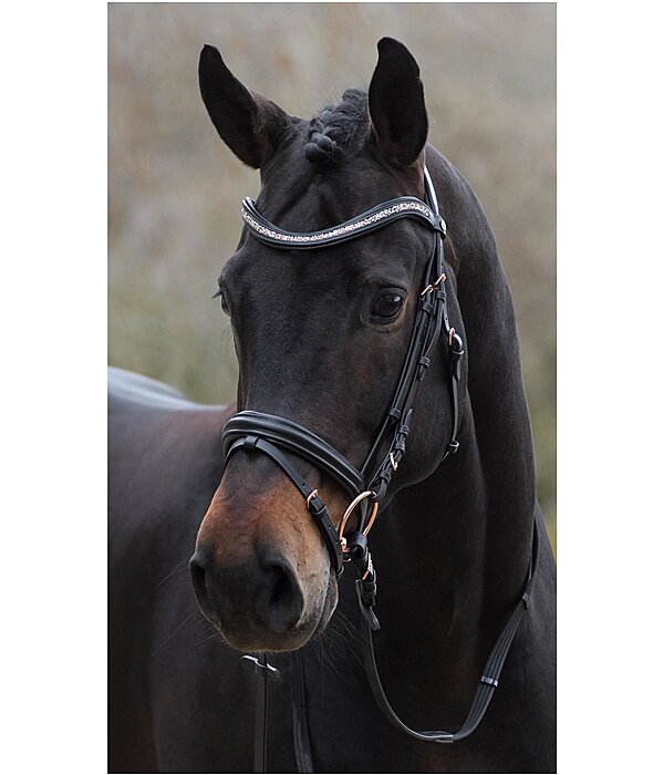 Flash Bridle Rosalinde