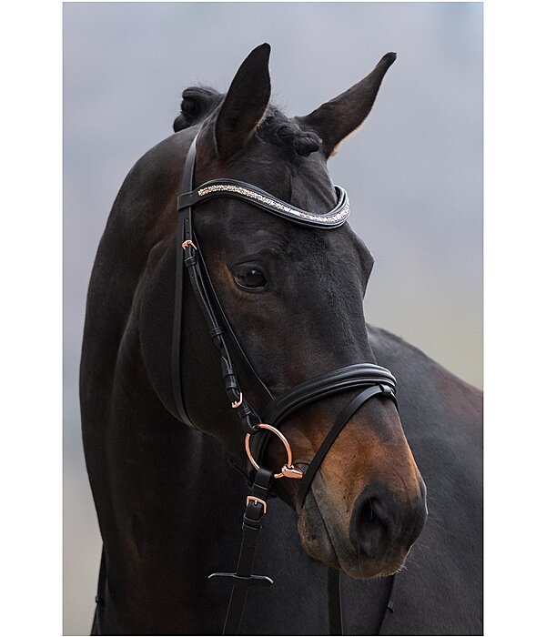 Flash Bridle Rosalinde