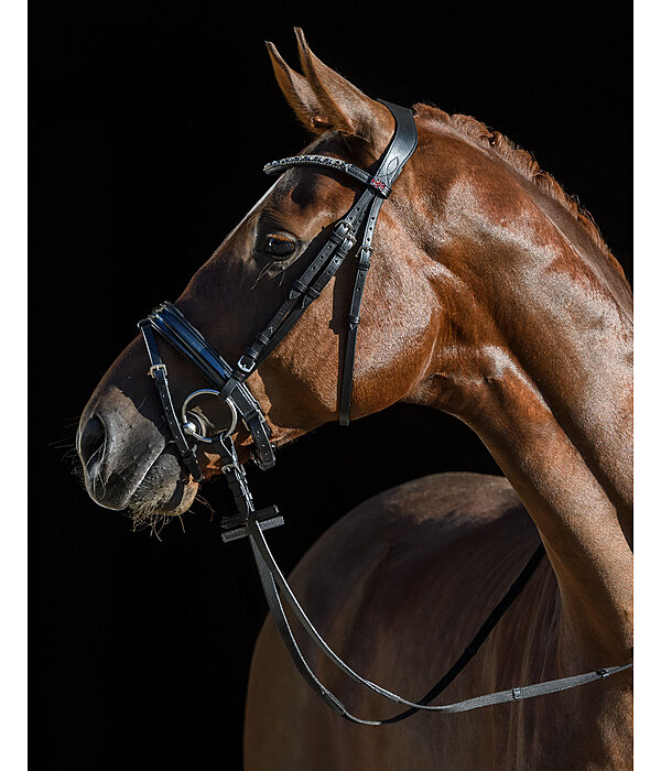 Crank Flash Bridle Matara