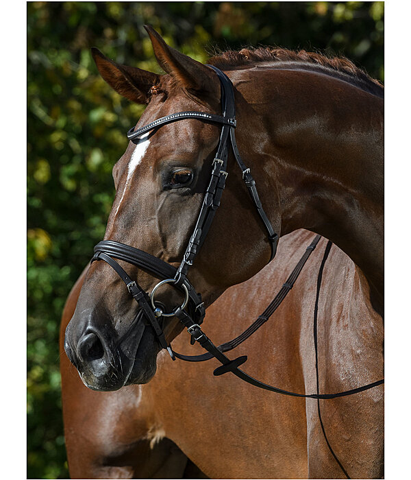 Flash Bridle Panama