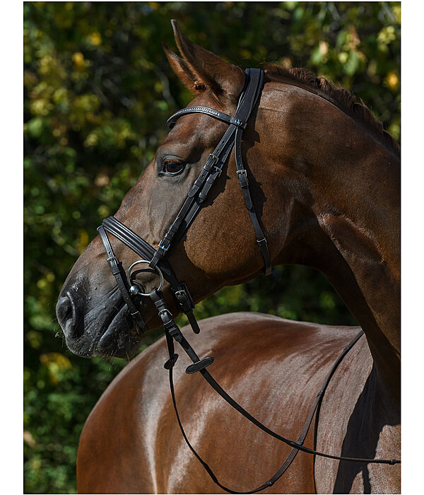 Flash Bridle Panama