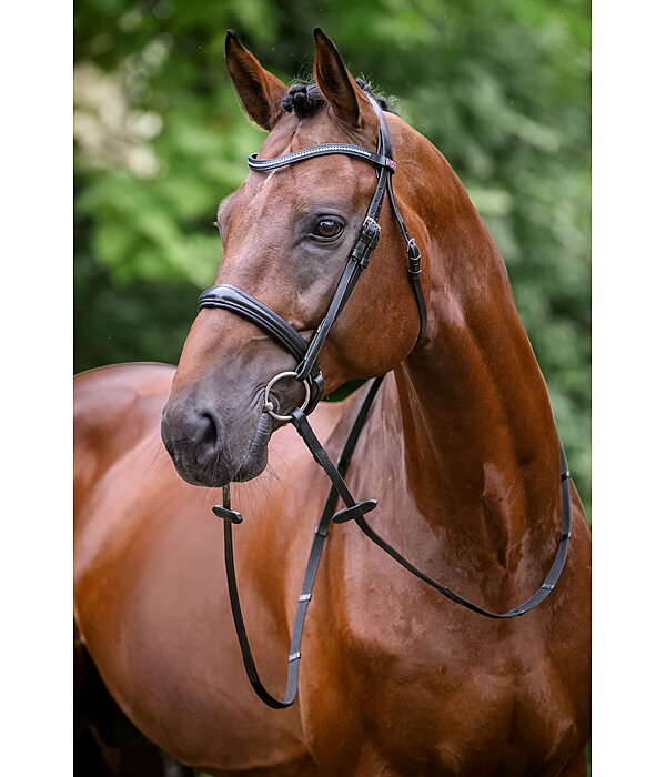 Bridle Mirissa with Detachable Flash Strap