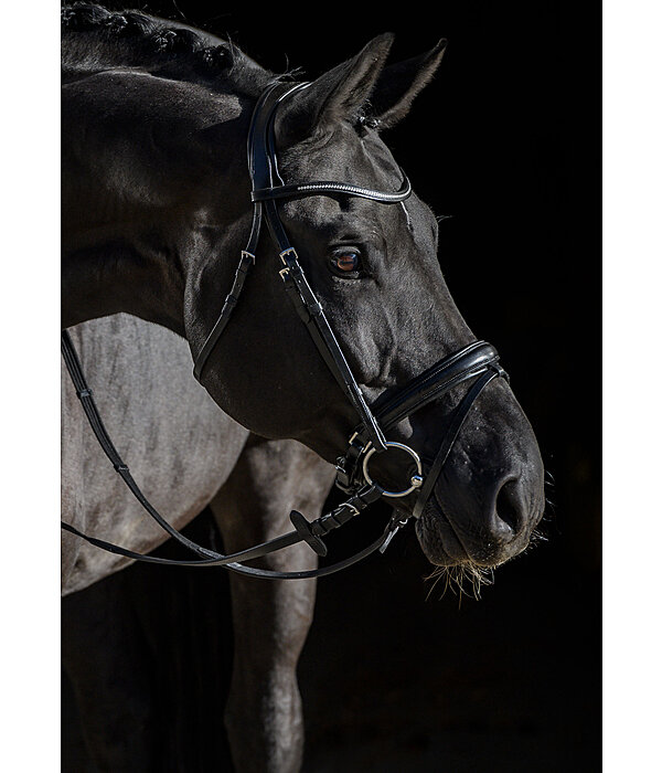 Bridle Mirissa with Detachable Flash Strap