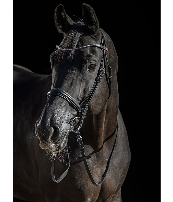 Bridle Mirissa with Detachable Flash Strap