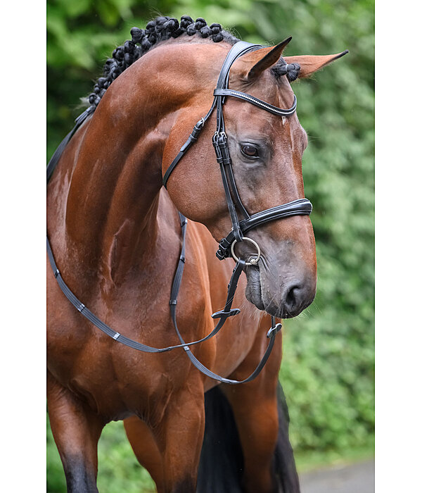 Bridle Mirissa with Detachable Flash Strap