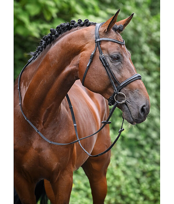 Bridle Mirissa with Detachable Flash Strap