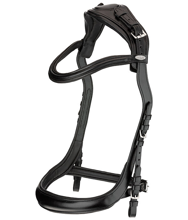 Bridle Anatomical Vision Space