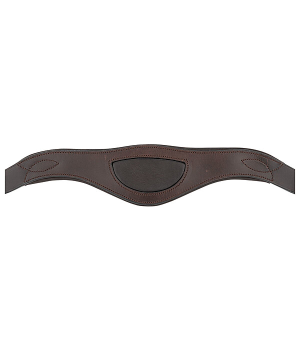 Bridle Gently Anatomical Innovation