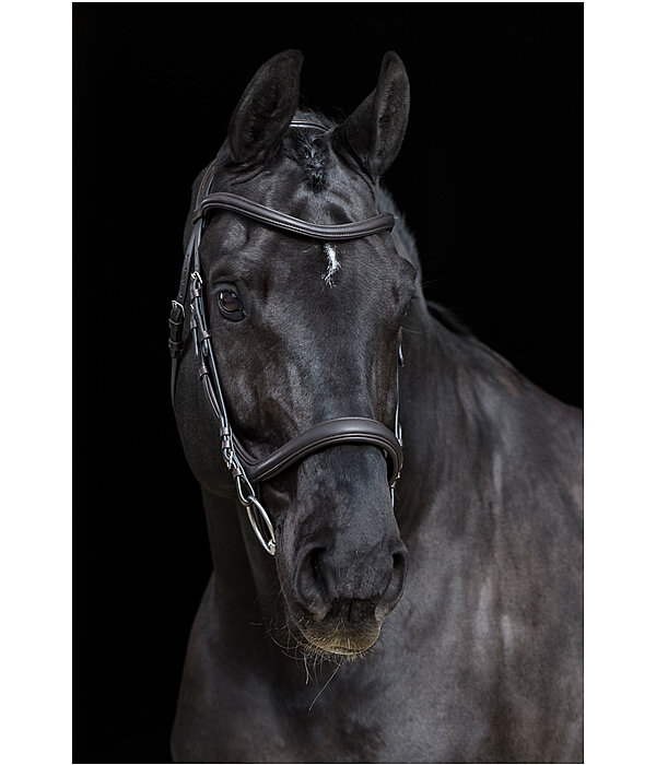 Bridle Gently Anatomical Innovation