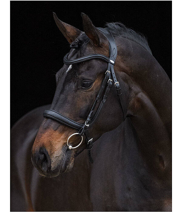 Bridle Gently Anatomical Innovation