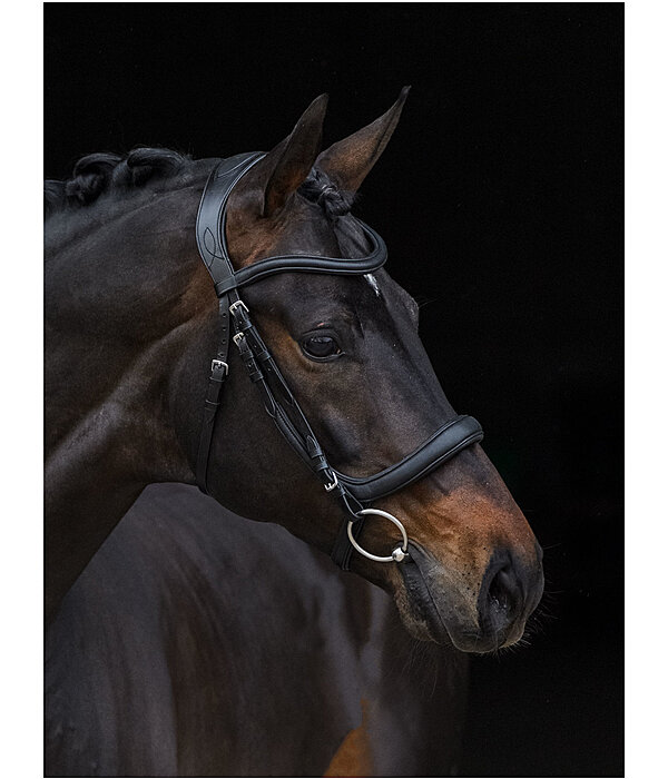 Felix Buhler Bridle Gently Anatomical Innovation