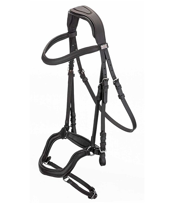 Bridle Laholm