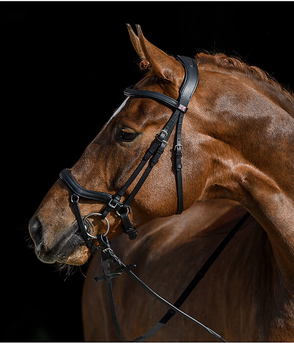 Bridle Laholm