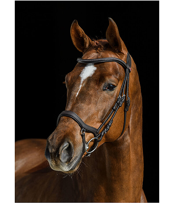 Bridle Albury II Competition & Crystal