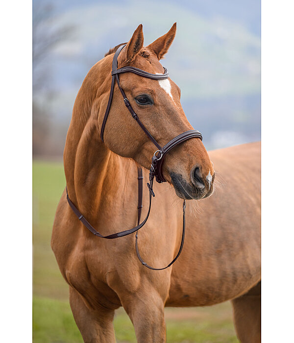 Bitless Bridle Gentle Connection