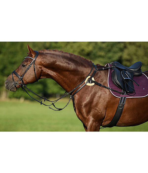 Oiled 5-Point Leather Breastplate Competition