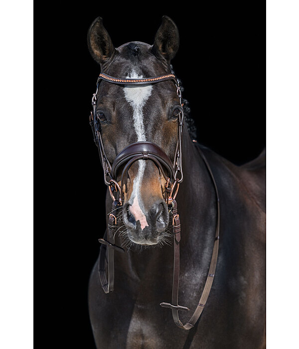 Crank Flash Bridle Rose