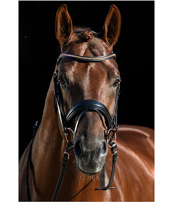 Crank Flash Bridle Rose