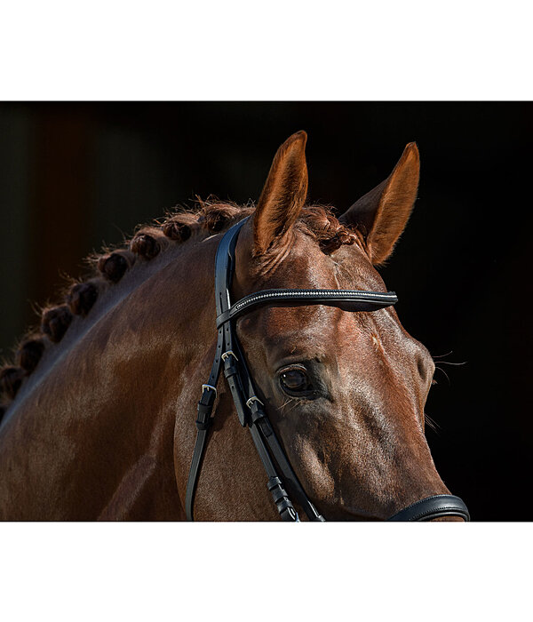 Mix & Match PRO Oiled Glitter Leather Browband