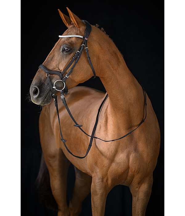 Mix & Match PRO Oiled Leather Noseband Alburry II