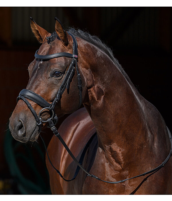 Mix & Match PRO Oiled Pull Back Leather Noseband with removable Flash Strap