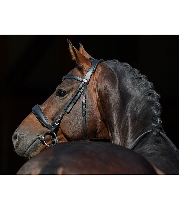 Mix & Match PRO Oiled Pull Back Leather Noseband with removable Flash Strap