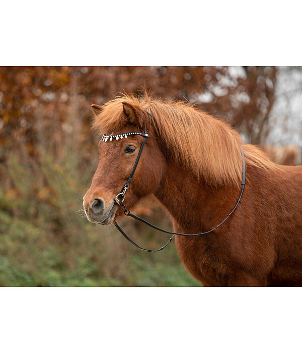 Browband Silfra