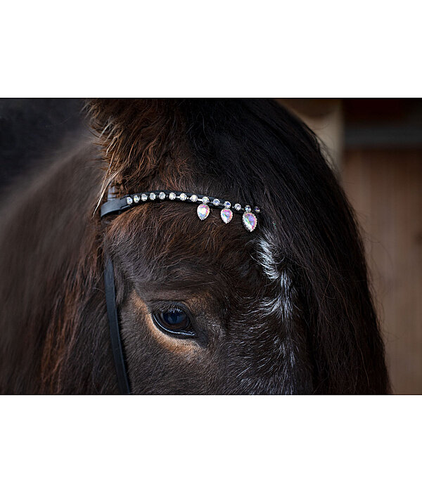 Browband Silfra