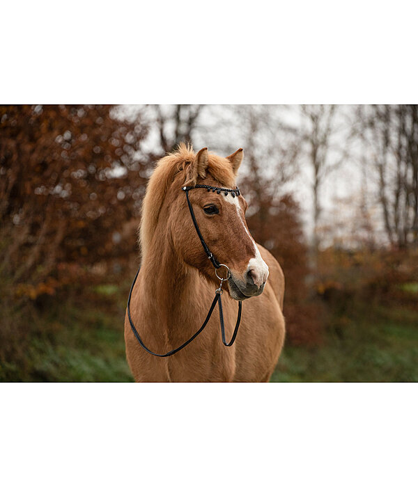 Browband Silfra