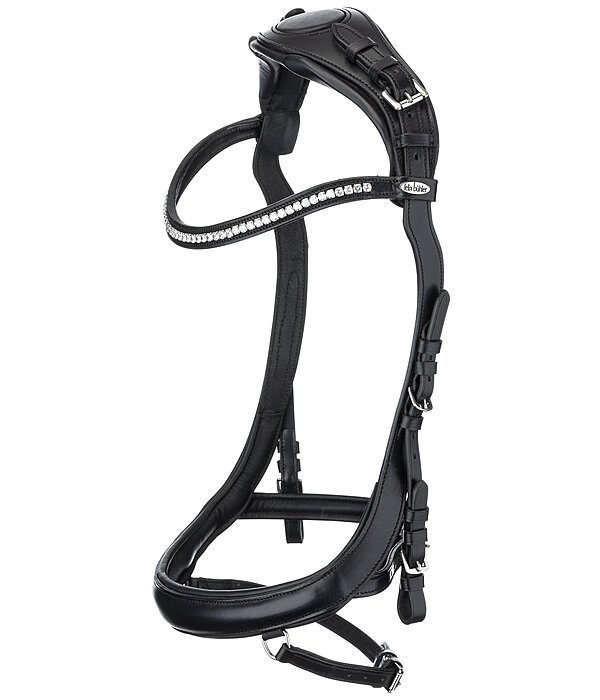 Bridle Anatomical Vision Space & Crystals