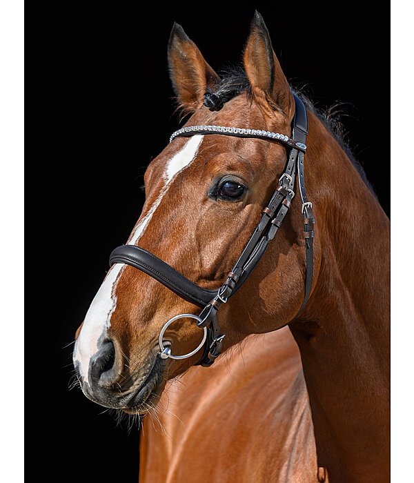 Bridle Anatomical Innovation & Crystals
