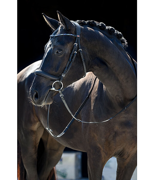 Mix & Match PRO Oiled Anatomical Cavesson Noseband