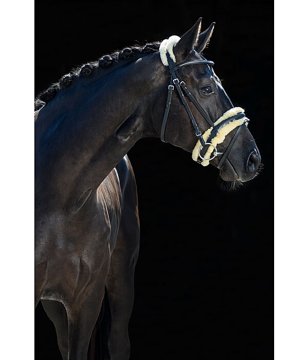 Soft Comfort II Flash Bridle with Sheepskin Padding