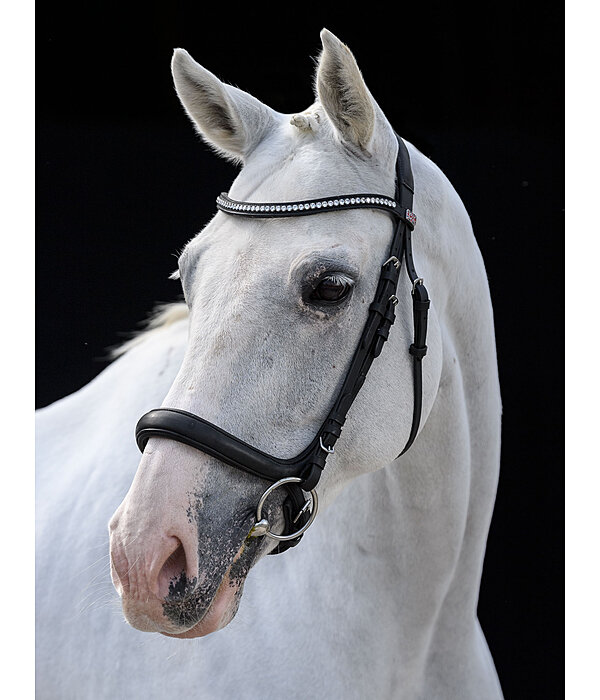 Cavesson Bridle Vienna Soft