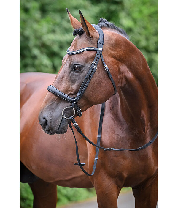 Cavesson Bridle Vienna Soft