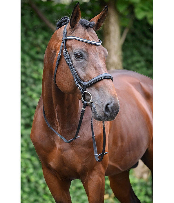 Cavesson Bridle Vienna Soft