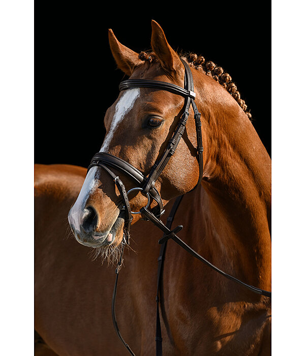 SYLKA Synthetic Bridle Animal Friendly