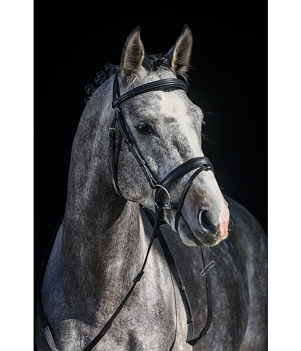 SYLKA Synthetic Bridle Animal Friendly