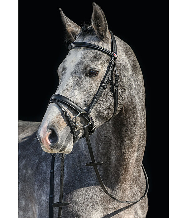 SYLKA Synthetic Bridle Animal Friendly