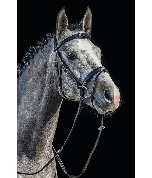 SYLKA Synthetic Bridle Animal Friendly