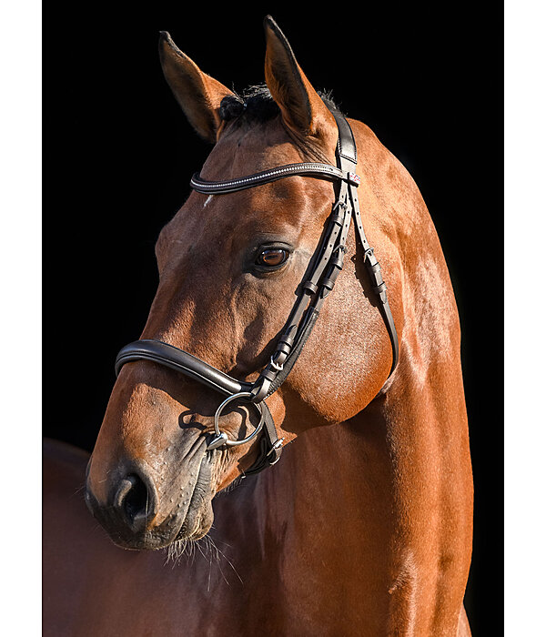 Bridle Milou Soft Comfort