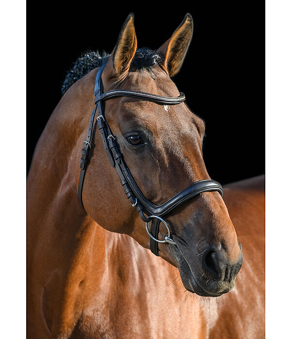 Bridle Milou Soft Comfort