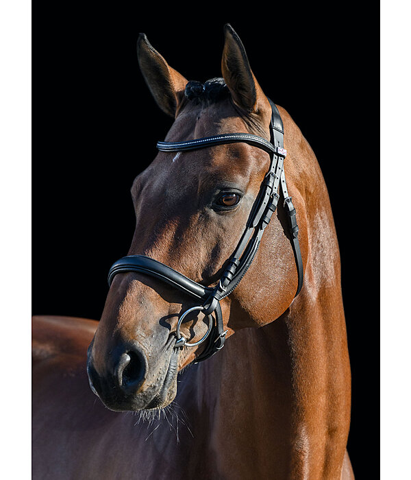 Bridle Milou Soft Comfort