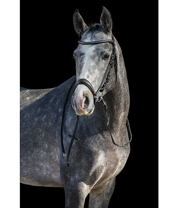 Drop Noseband Soft Comfort