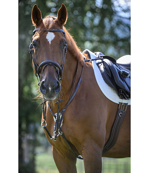 Flash Bridle Stitch