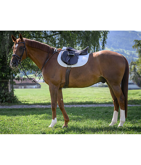 Flash Bridle Stitch
