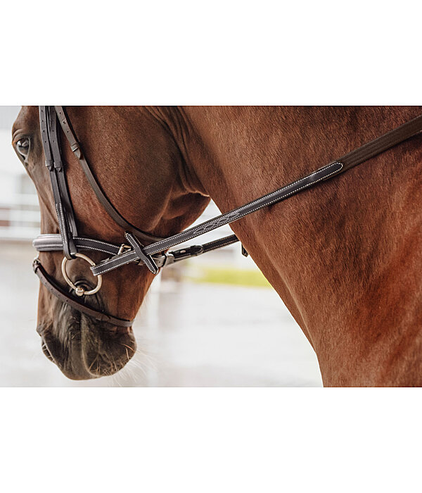 Oiled Leather Web Reins Stitch