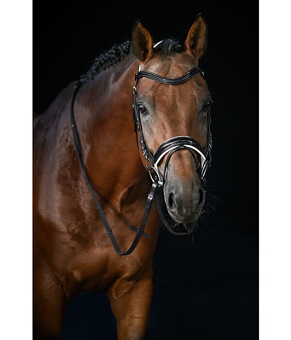 Crank Flash Bridle Glossy Vernon