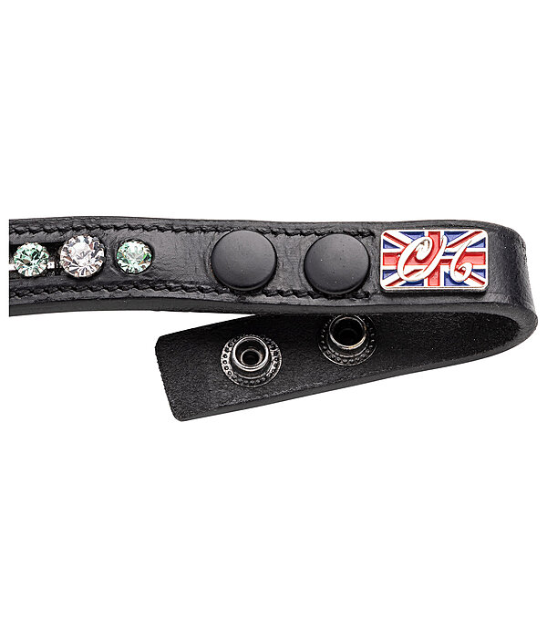 Mix & Match Browband Diamond Shine
