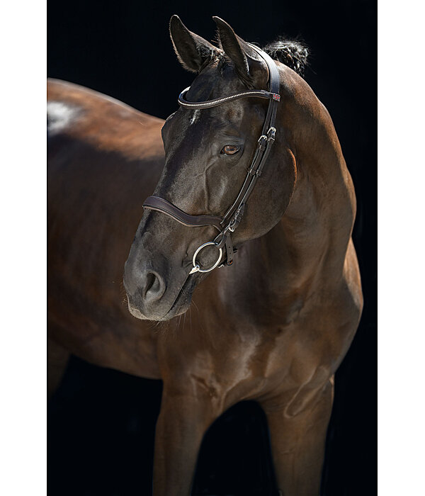 Cavesson Bridle Comfort Space